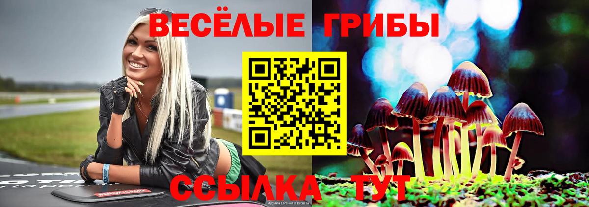 Галлюциногенные грибы Cubensis Курчатов